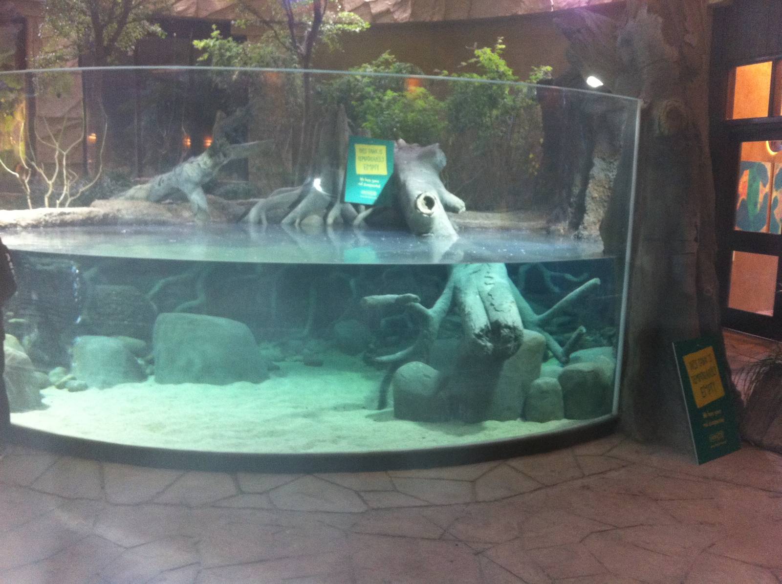 New Tank In Jaguar House 27/12/11