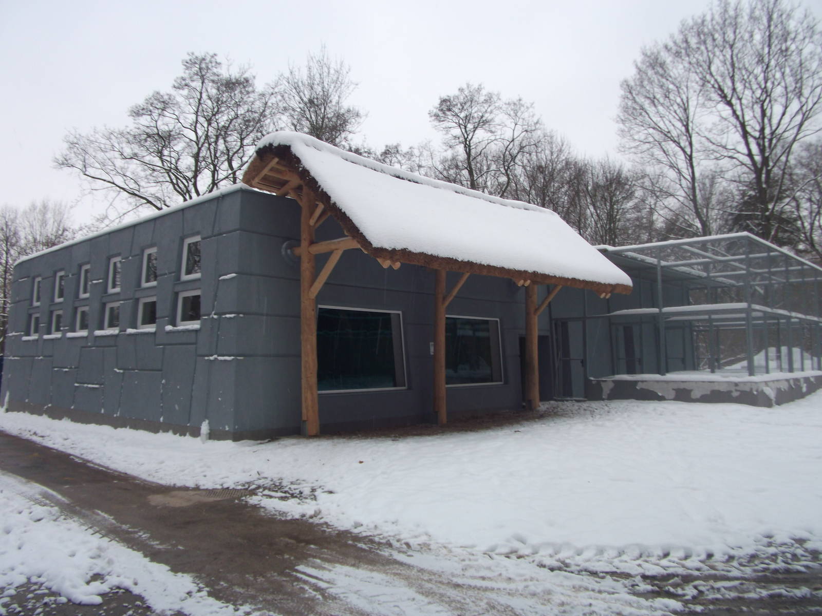 New tapirs and capybaras building