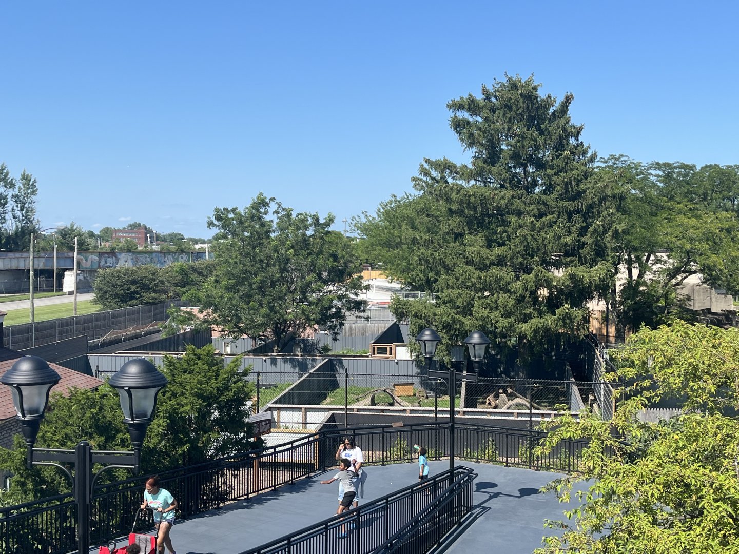 New Tasmanian Devil Holding