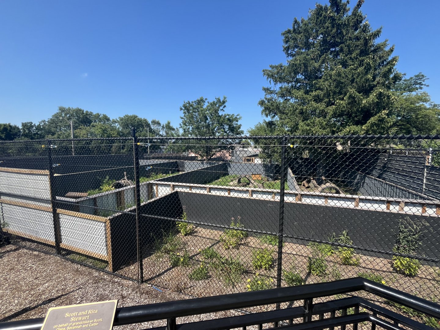 New Tasmanian Devil Holding