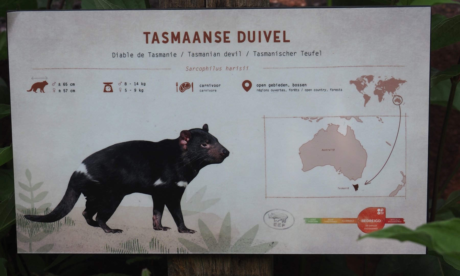 New Tasmanian devil signage, 2024-07-14