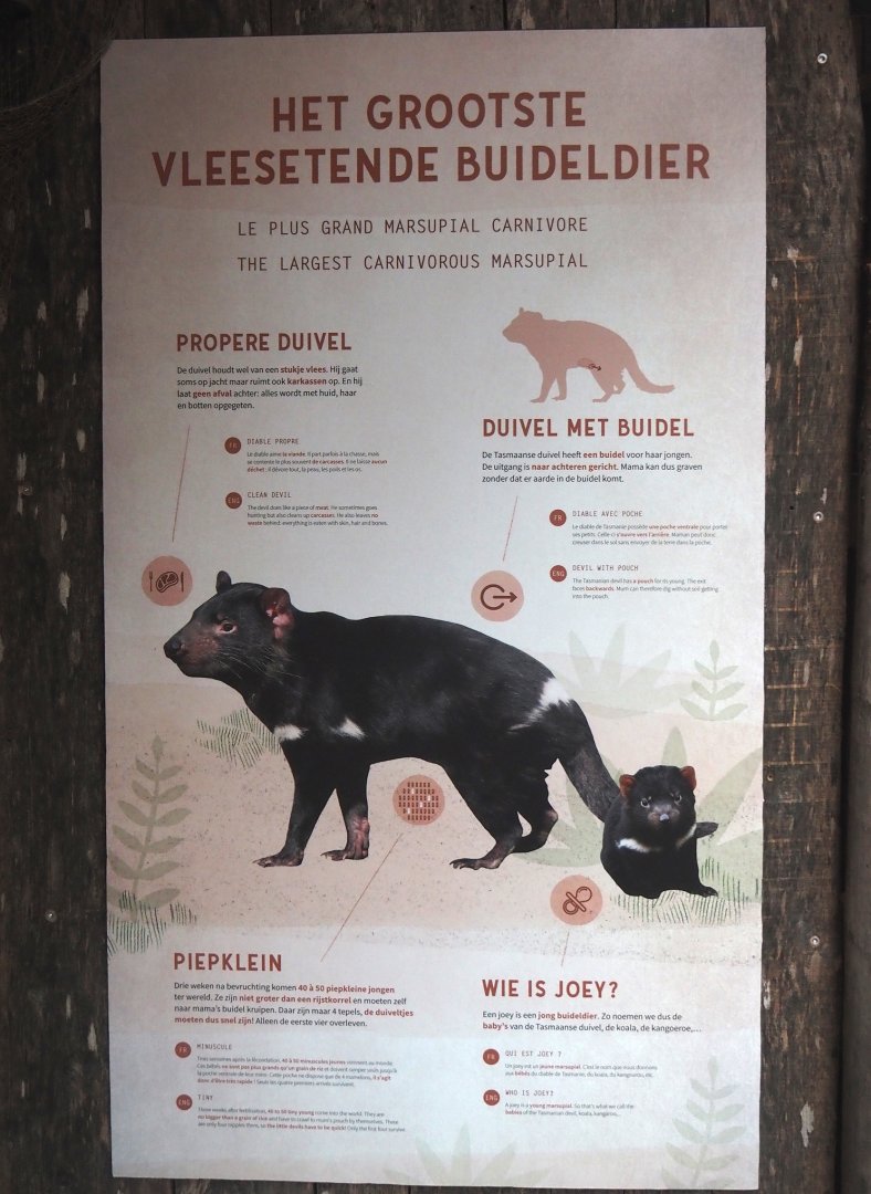 New Tasmanian devil signage, 2024-12-29