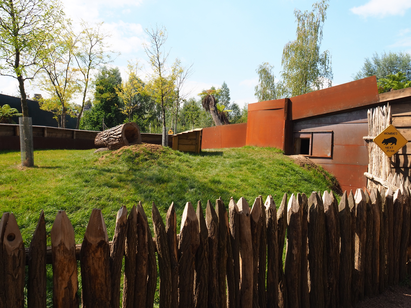 New Tasmanian wombat exhibit, 2020-09-02