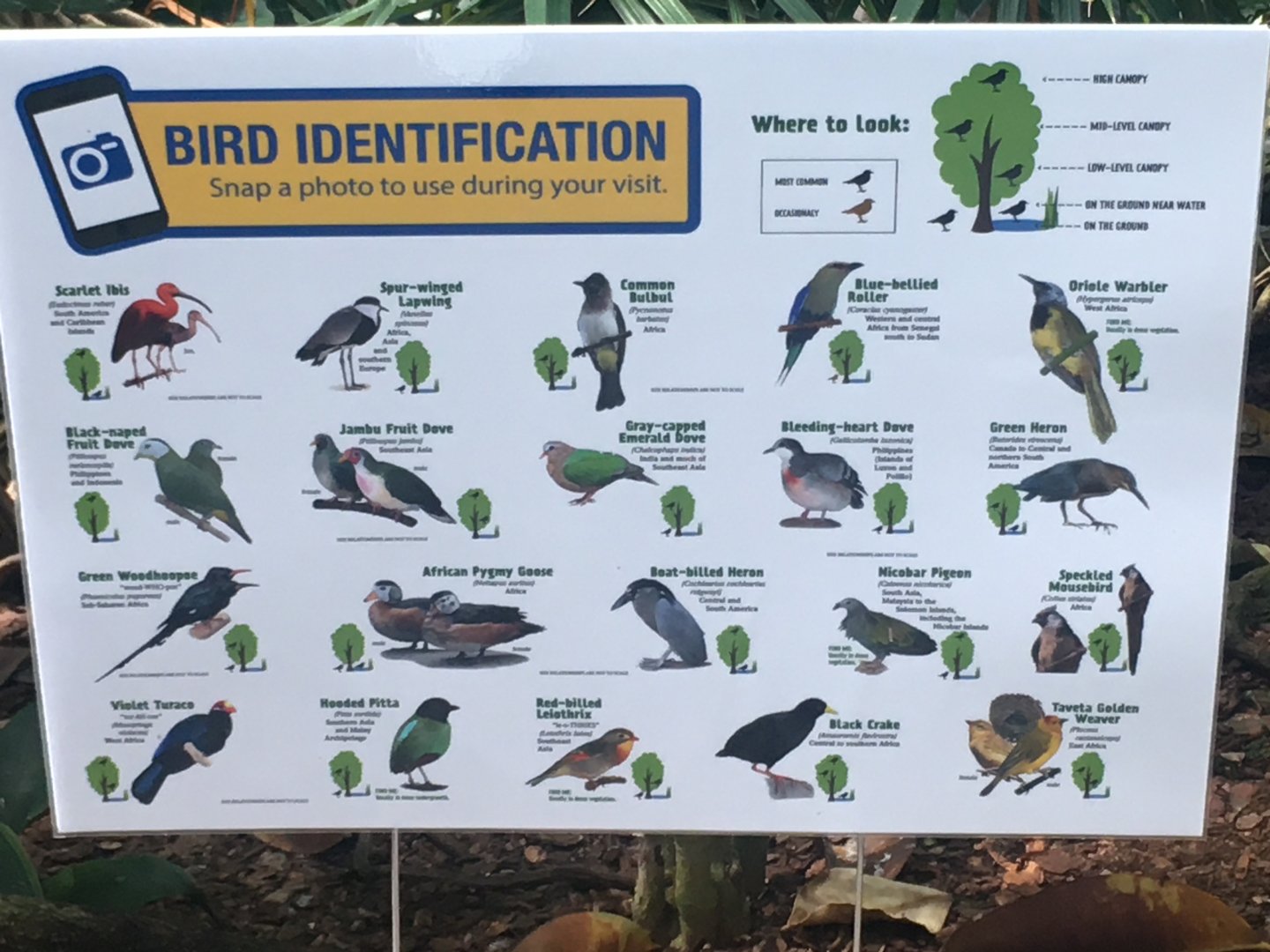 New Temporary Aviary Sign