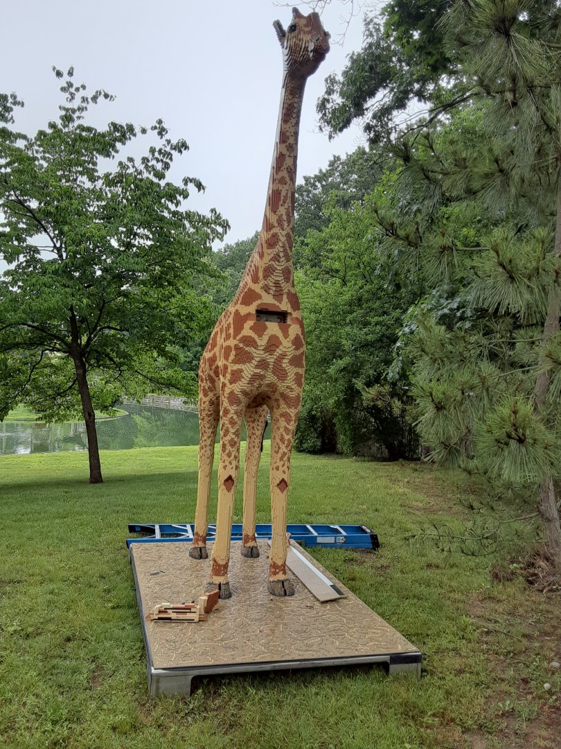 New Temporary Giraffe Sculpture