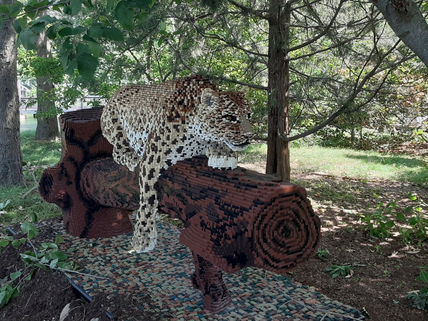 New Temporary Leopard Sculpture
