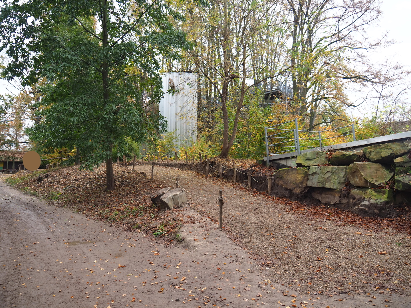 New (temporary?) road near the orangutan project construction site, 2021-11-06
