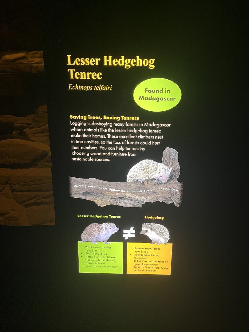 New Tenrec Signage in Desert