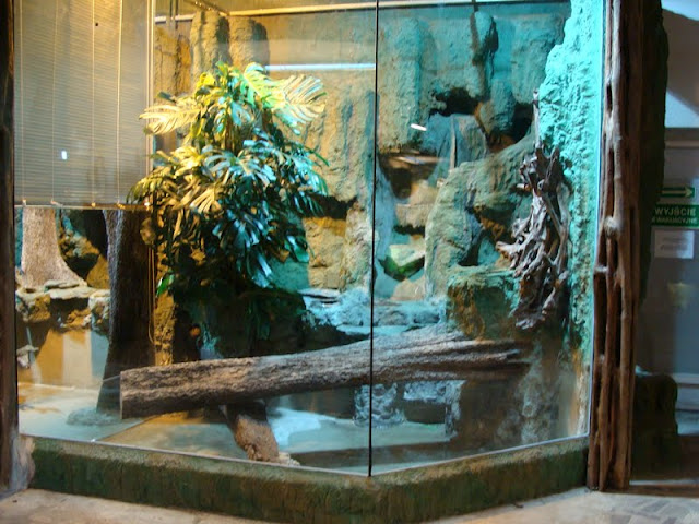 New terrarium for anacondas