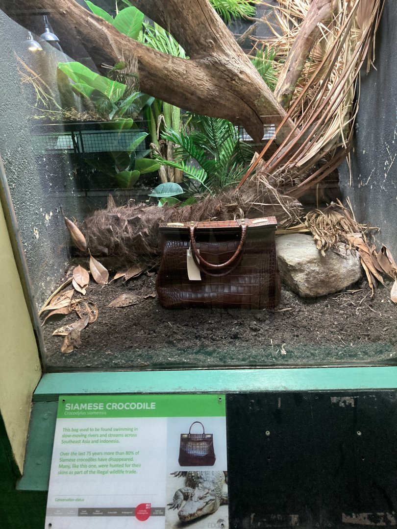 New terrarium in reptile house