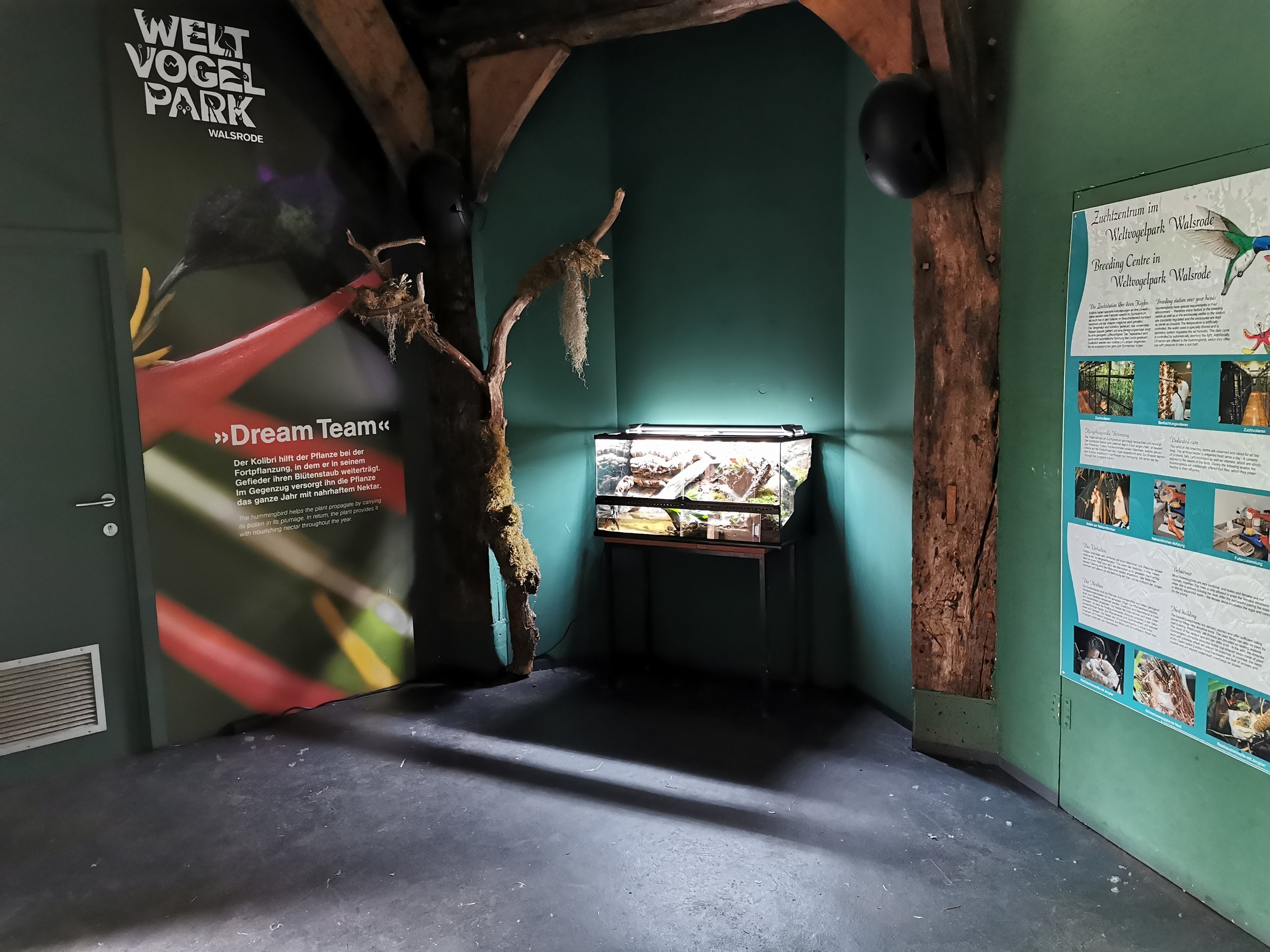 New terrarium in the Kolibrihaus