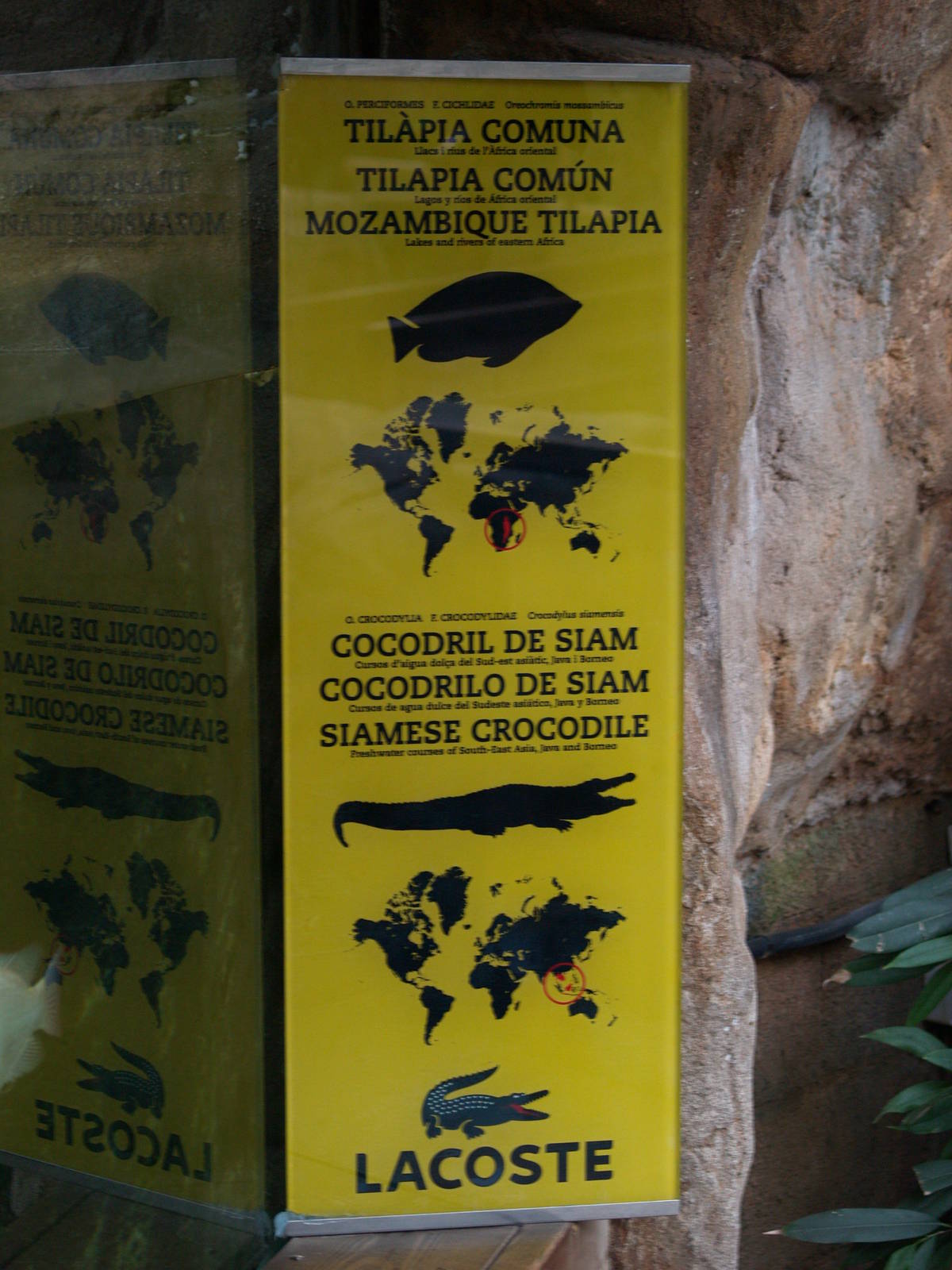 New terrarium info panels