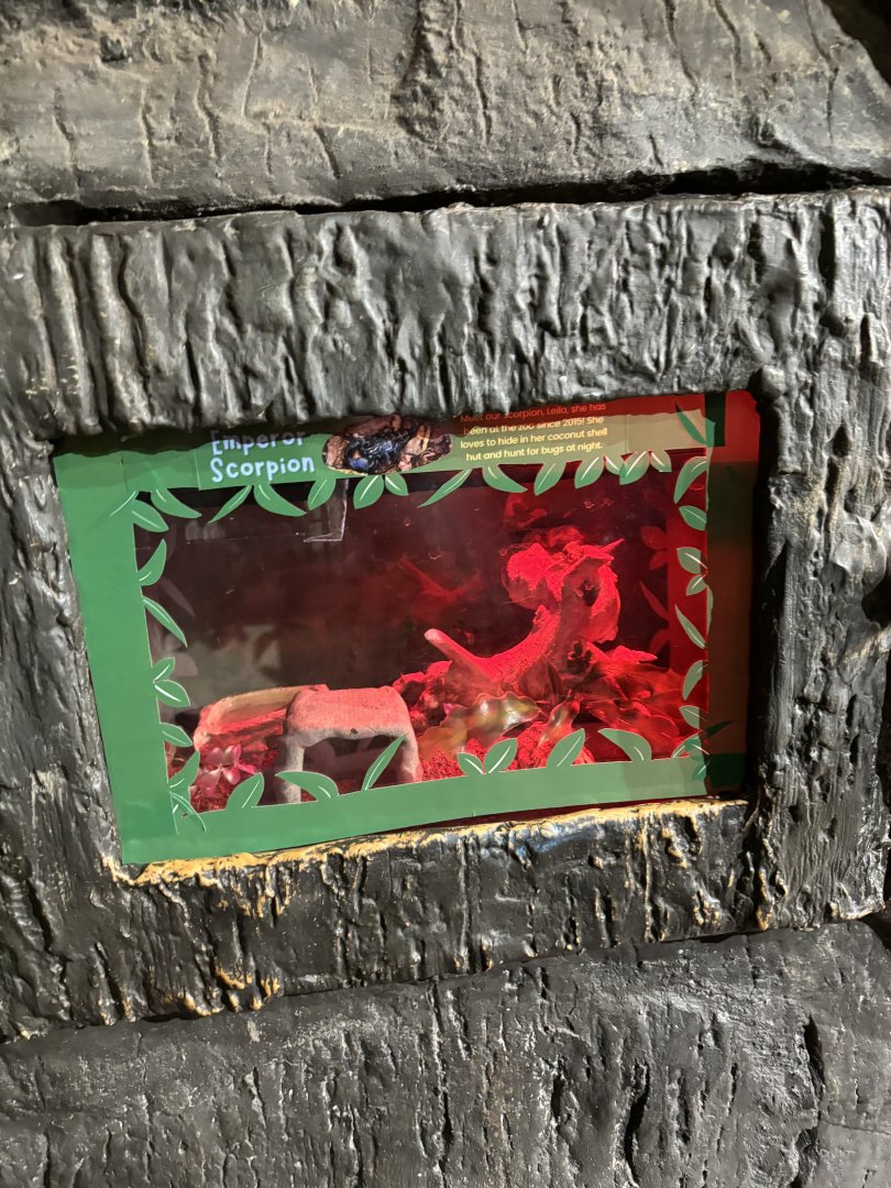 New Terrarium Lining Example