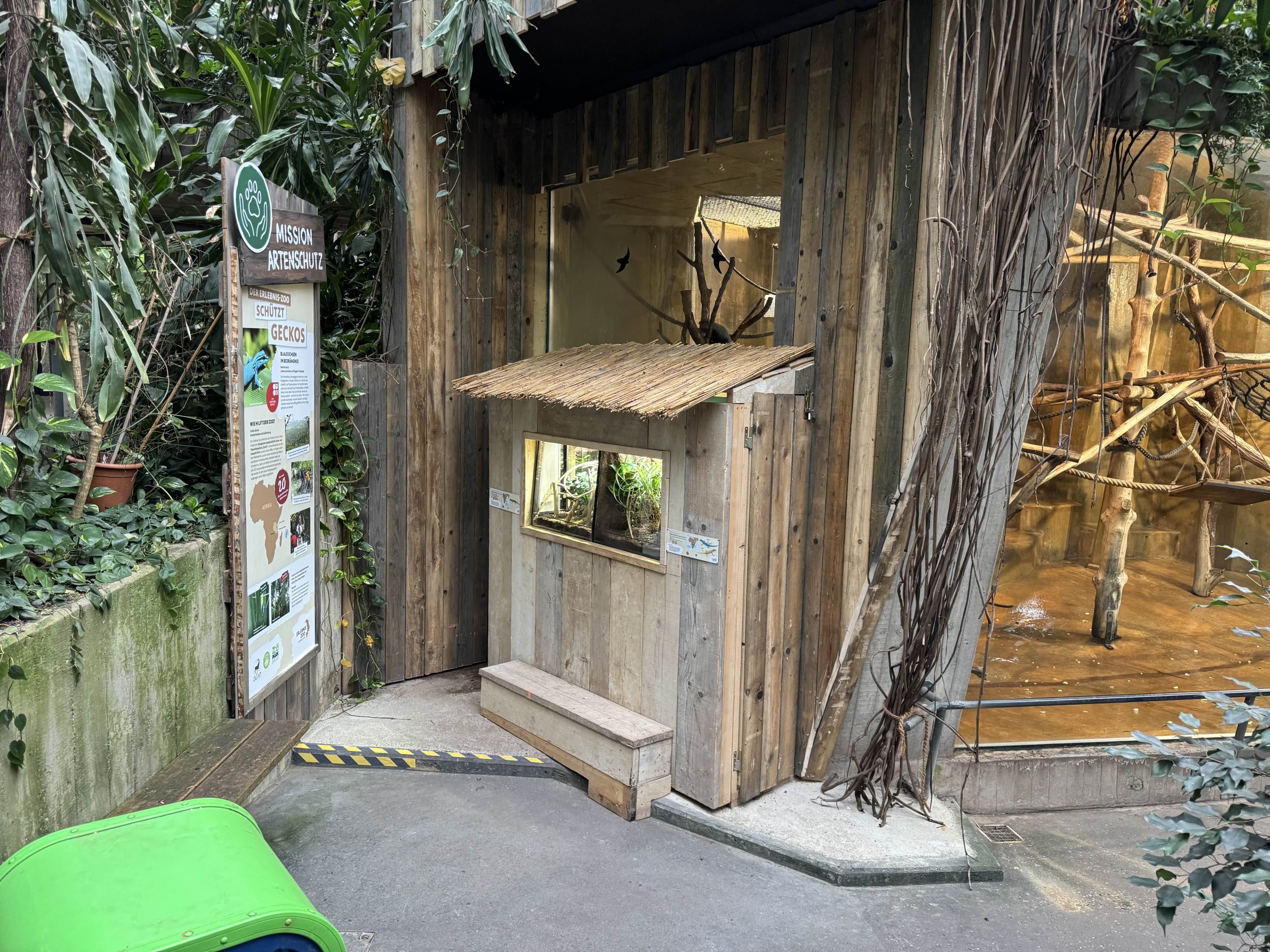 New terrariums for geckos