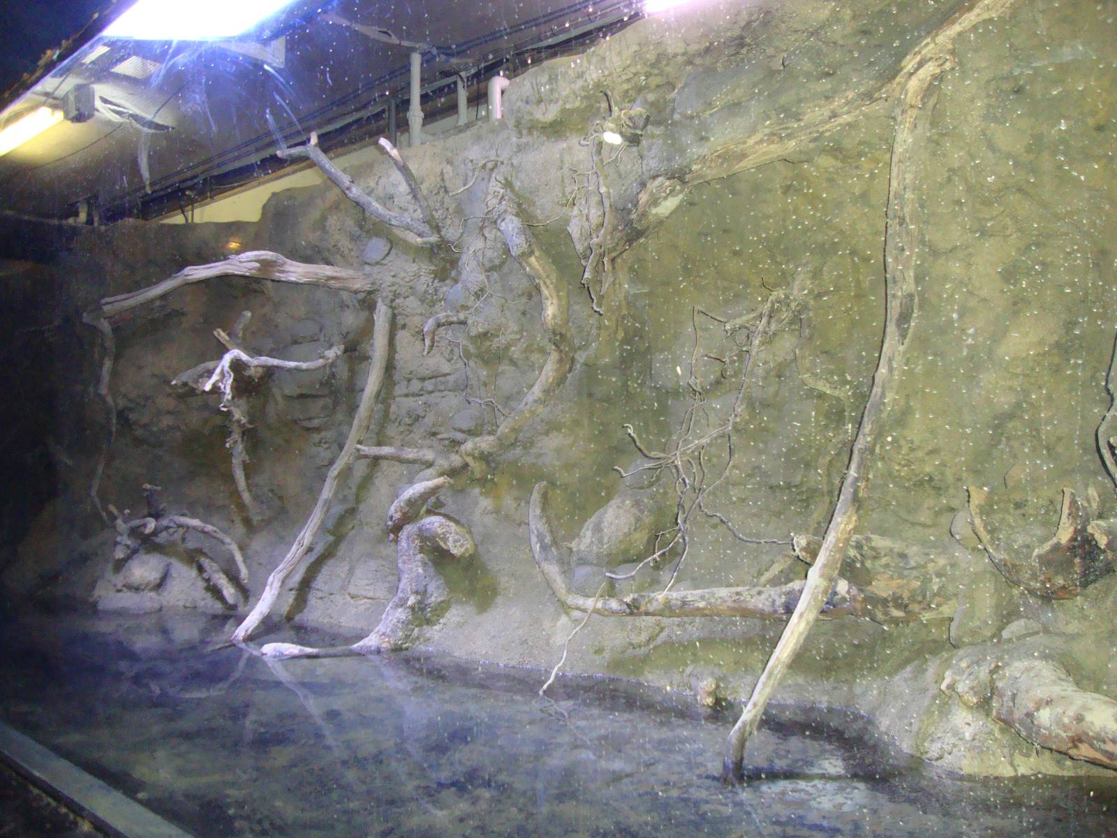 New themeing in Hall 1 of the aquarium