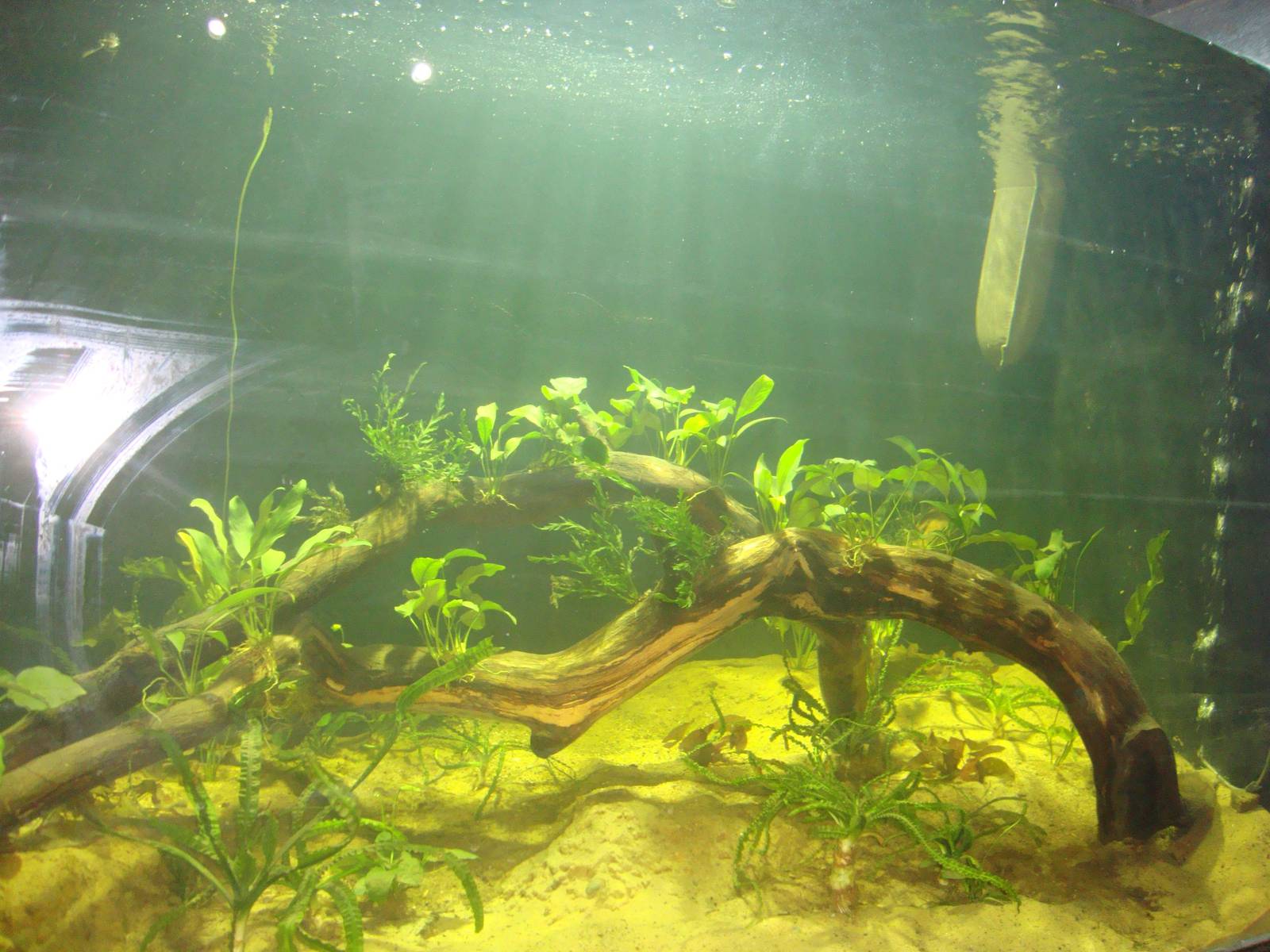 New themeing in Hall 1 of the aquarium