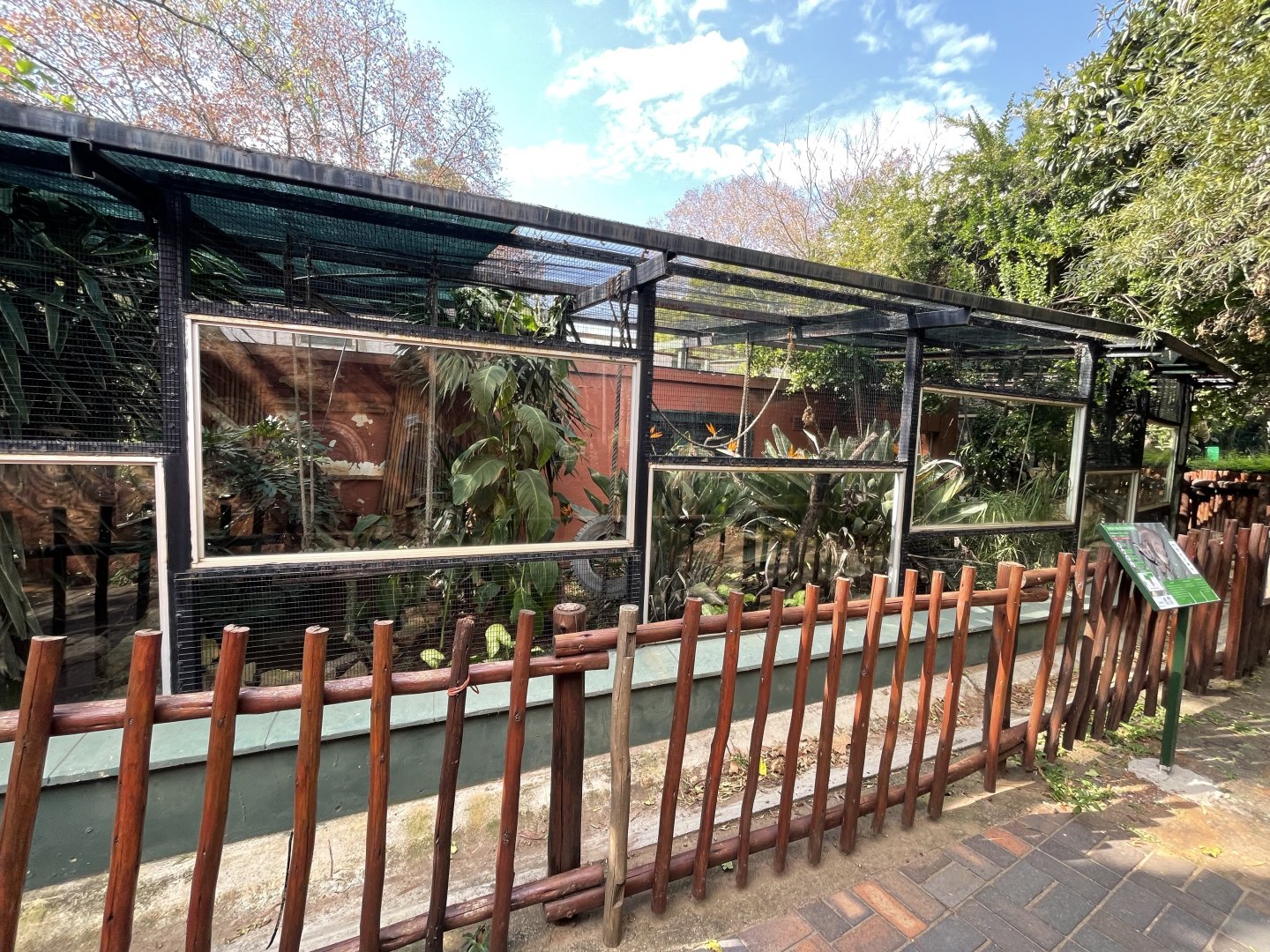 {New} Thick-tailed Greater Busbaby Enclosure (Otolemur crassicaudatus)