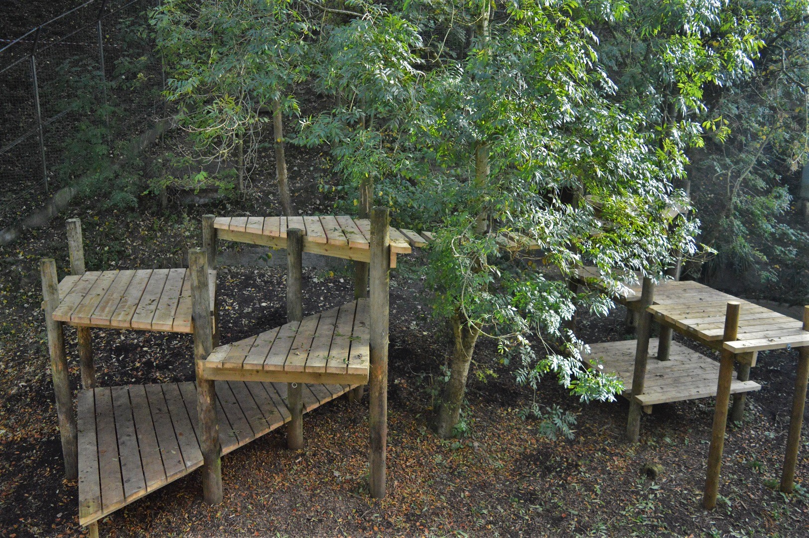 New tiger climbing frame