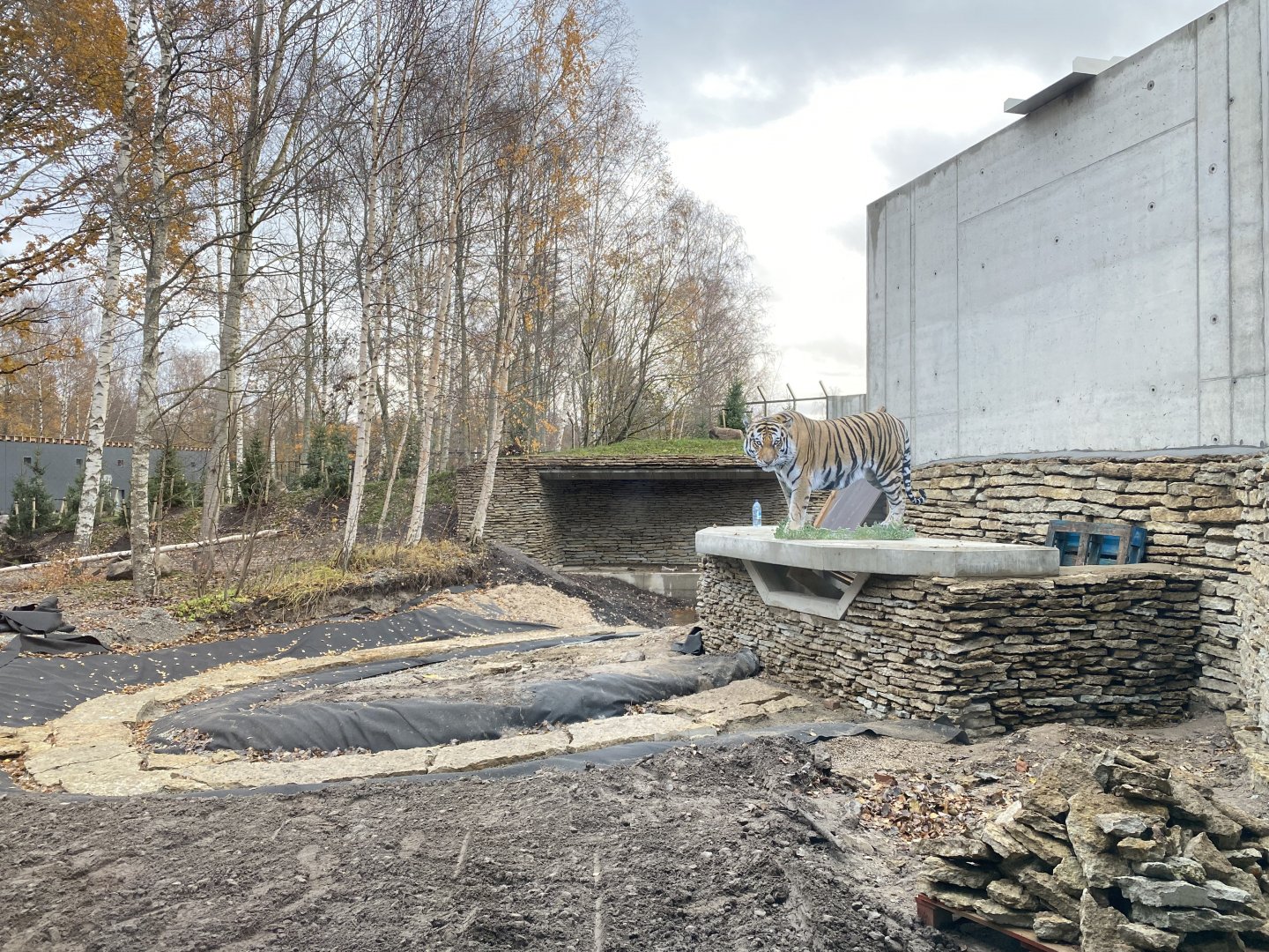 New tiger enclosure being built