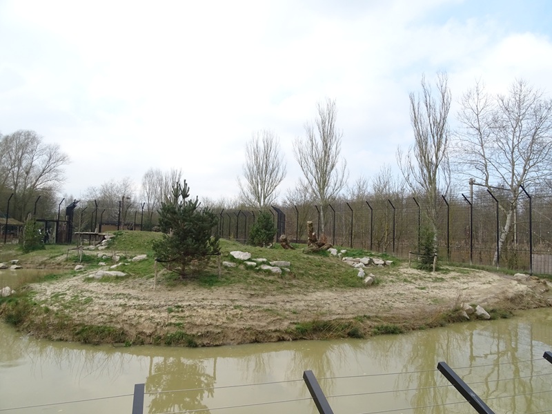 New tiger enclosure expansion