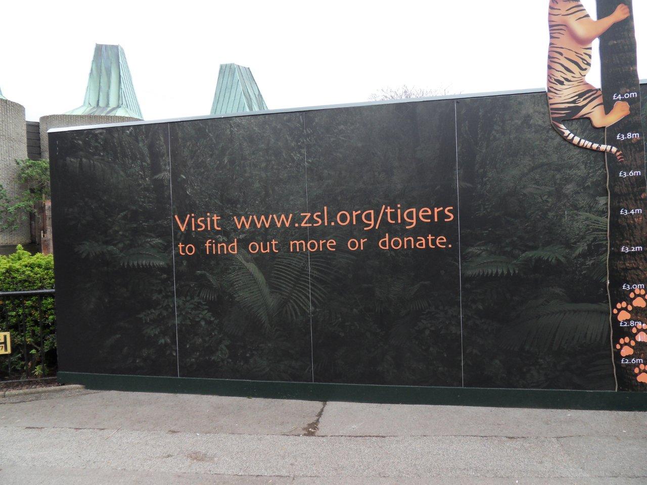 New tiger enclosure poster