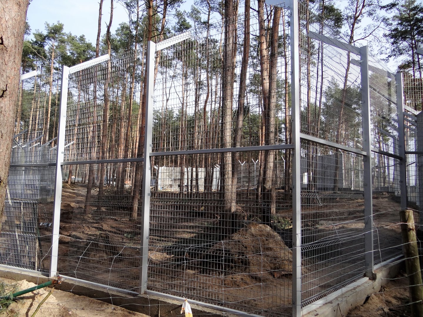 New tiger enclosure under constuction