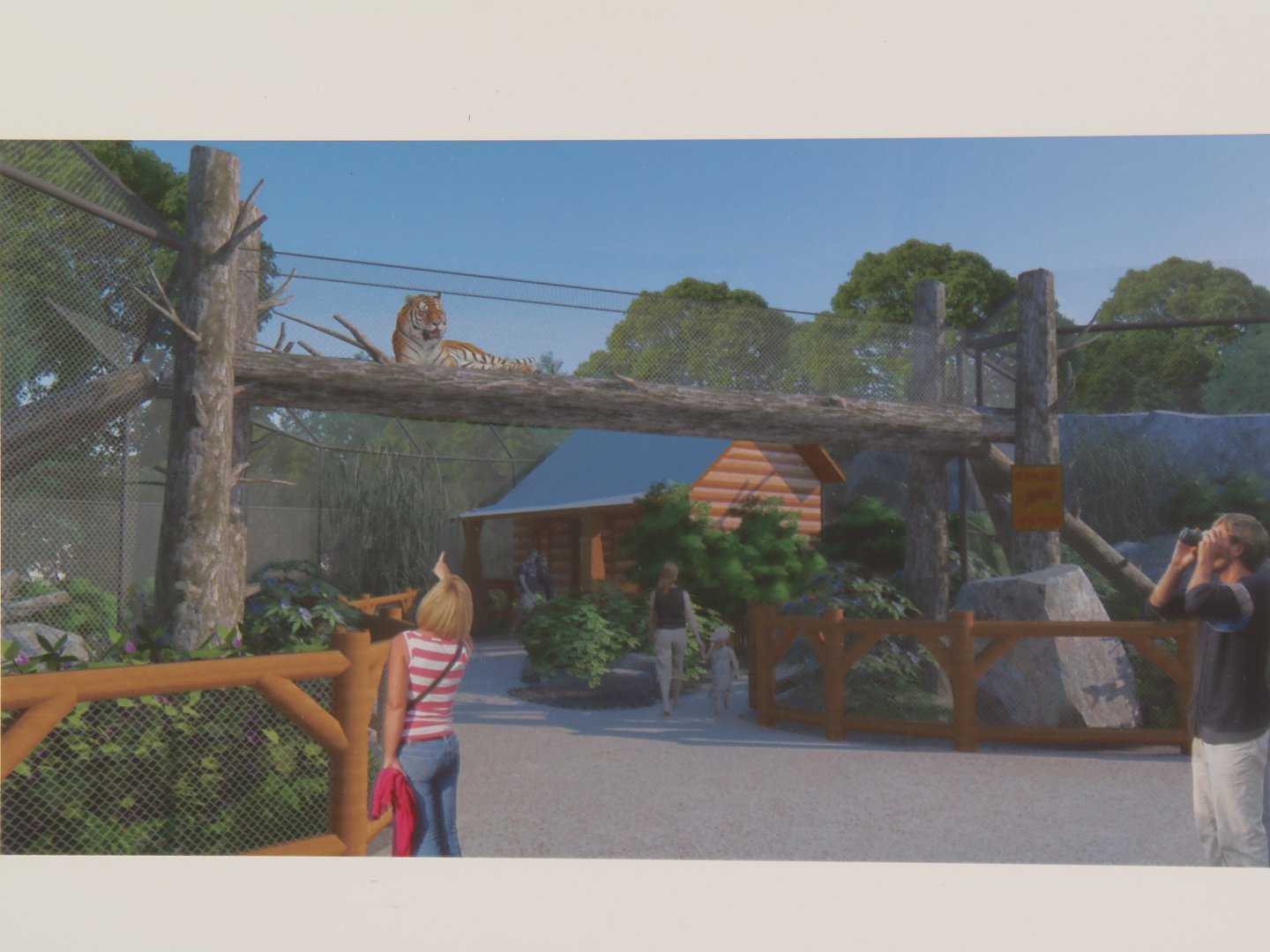 New Tiger Exhibit Concept
