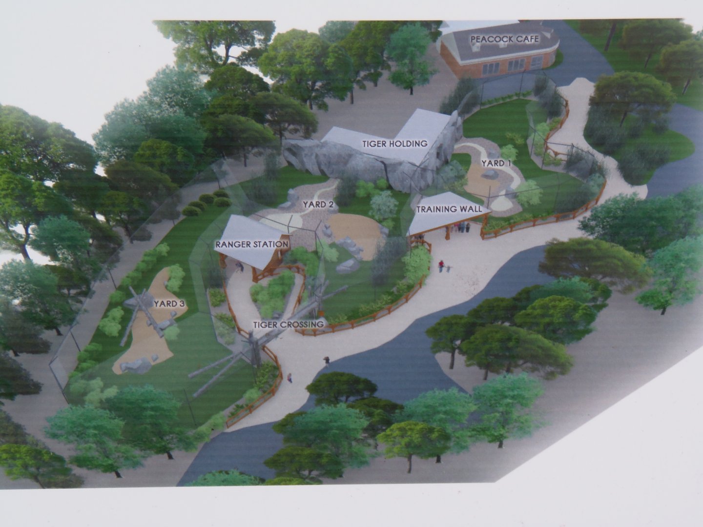New Tiger Exhibit Plan