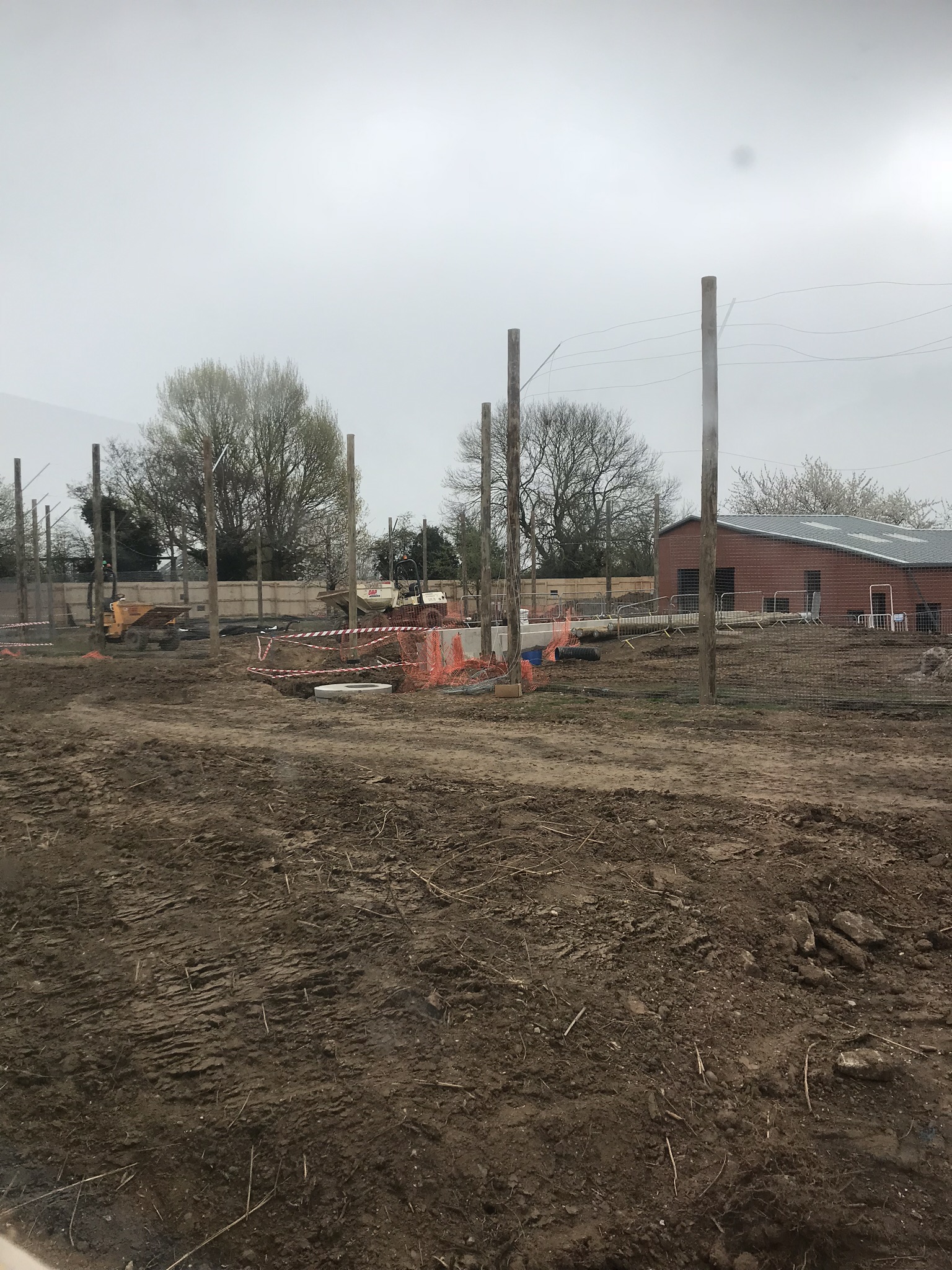 New tiger exhibit progressing well