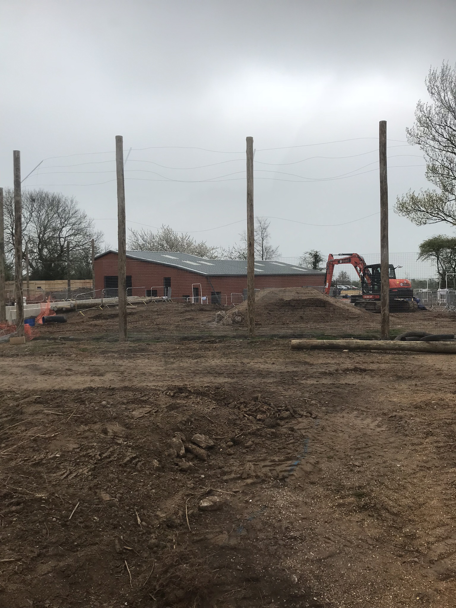 New tiger exhibit progressing well