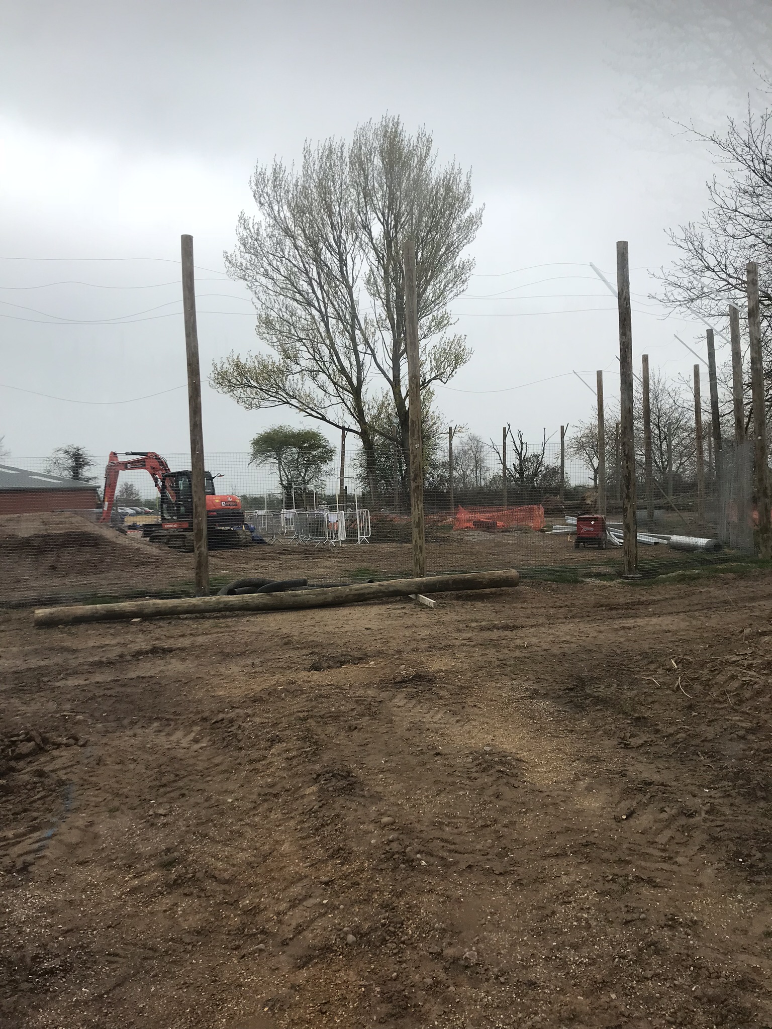 New tiger exhibit progressing well