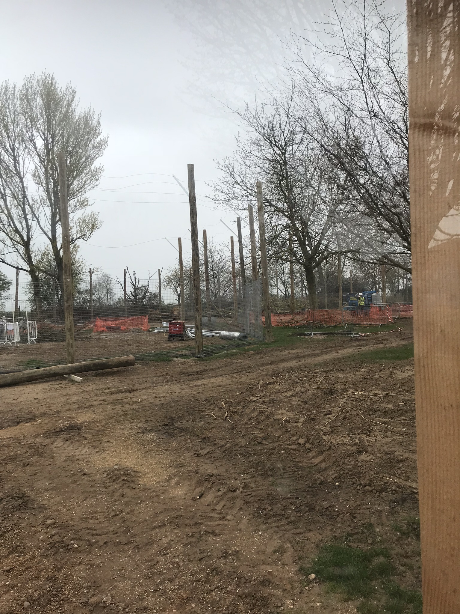 New tiger exhibit progressing well