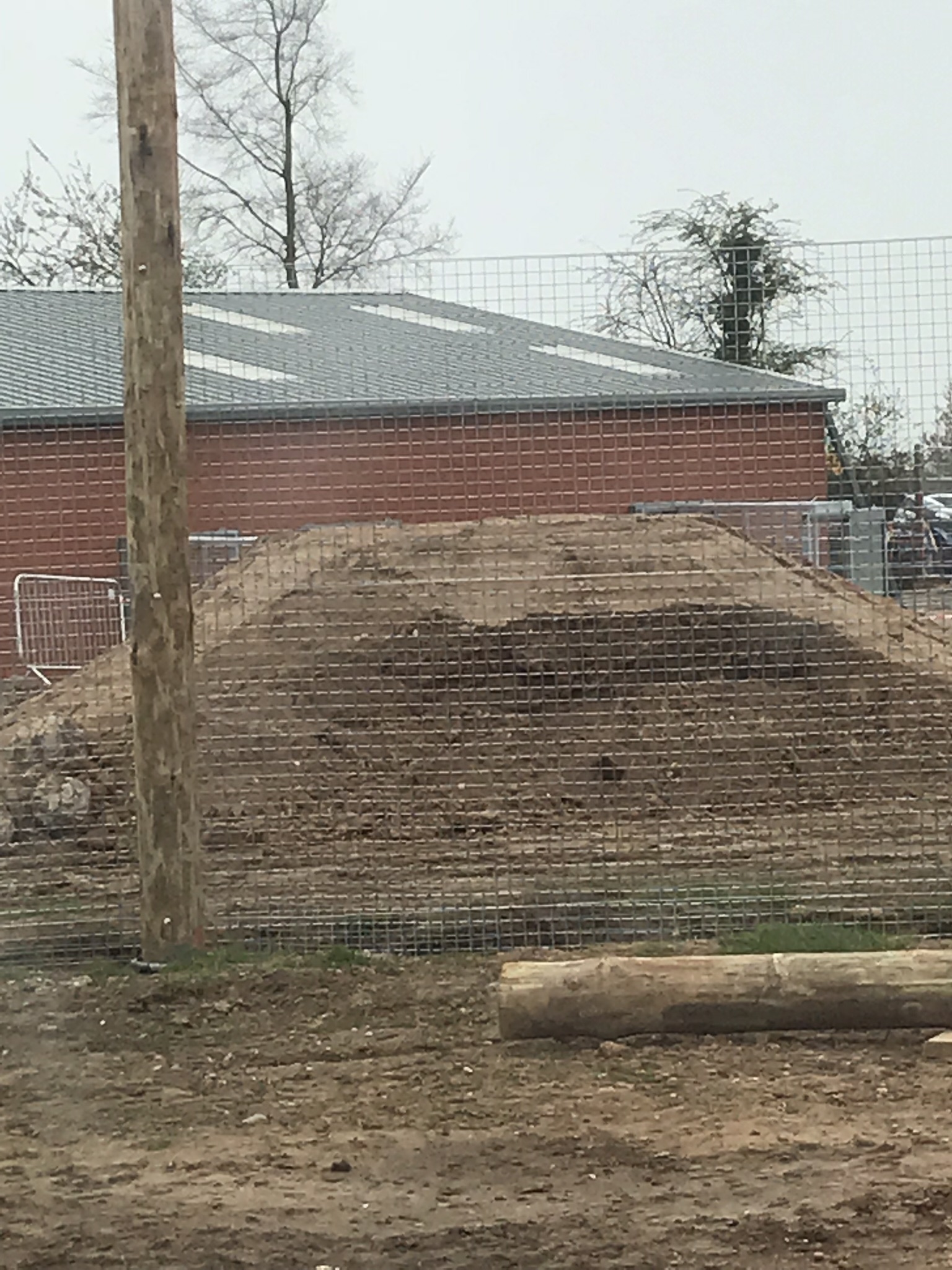 New tiger exhibit progressing well