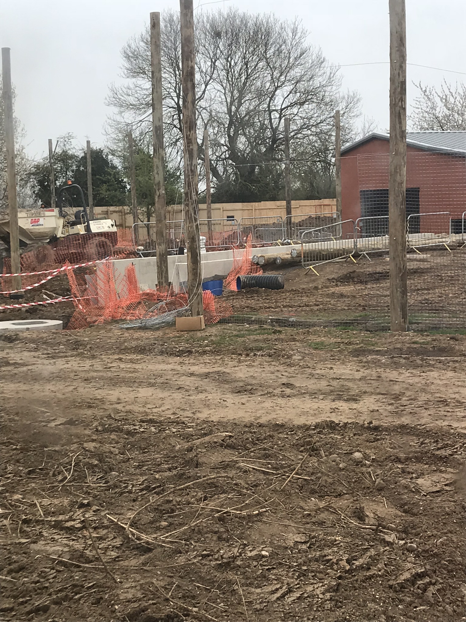 New tiger exhibit progressing well
