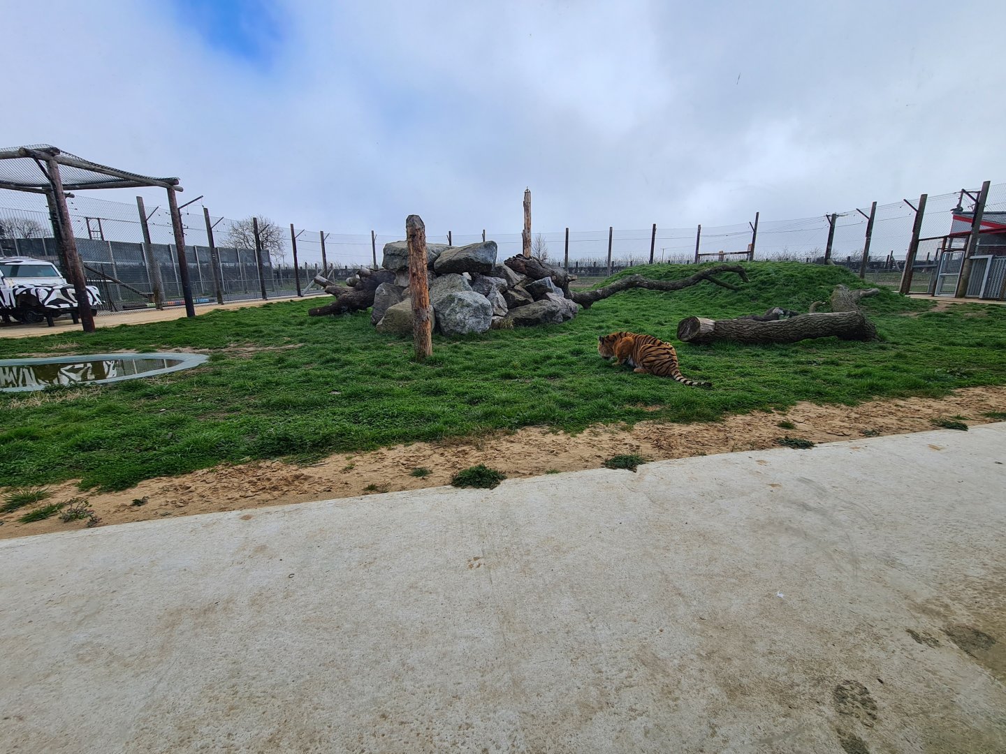 New Tiger exhibit, Wolds Wildlife Park