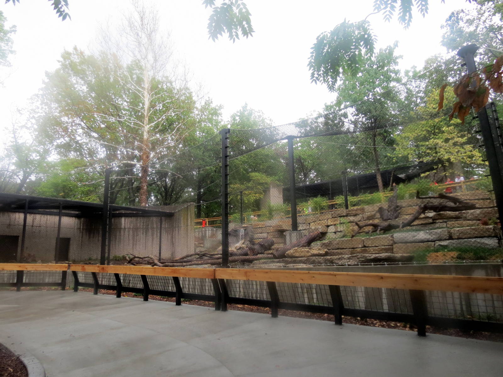 New Tiger Exhibit