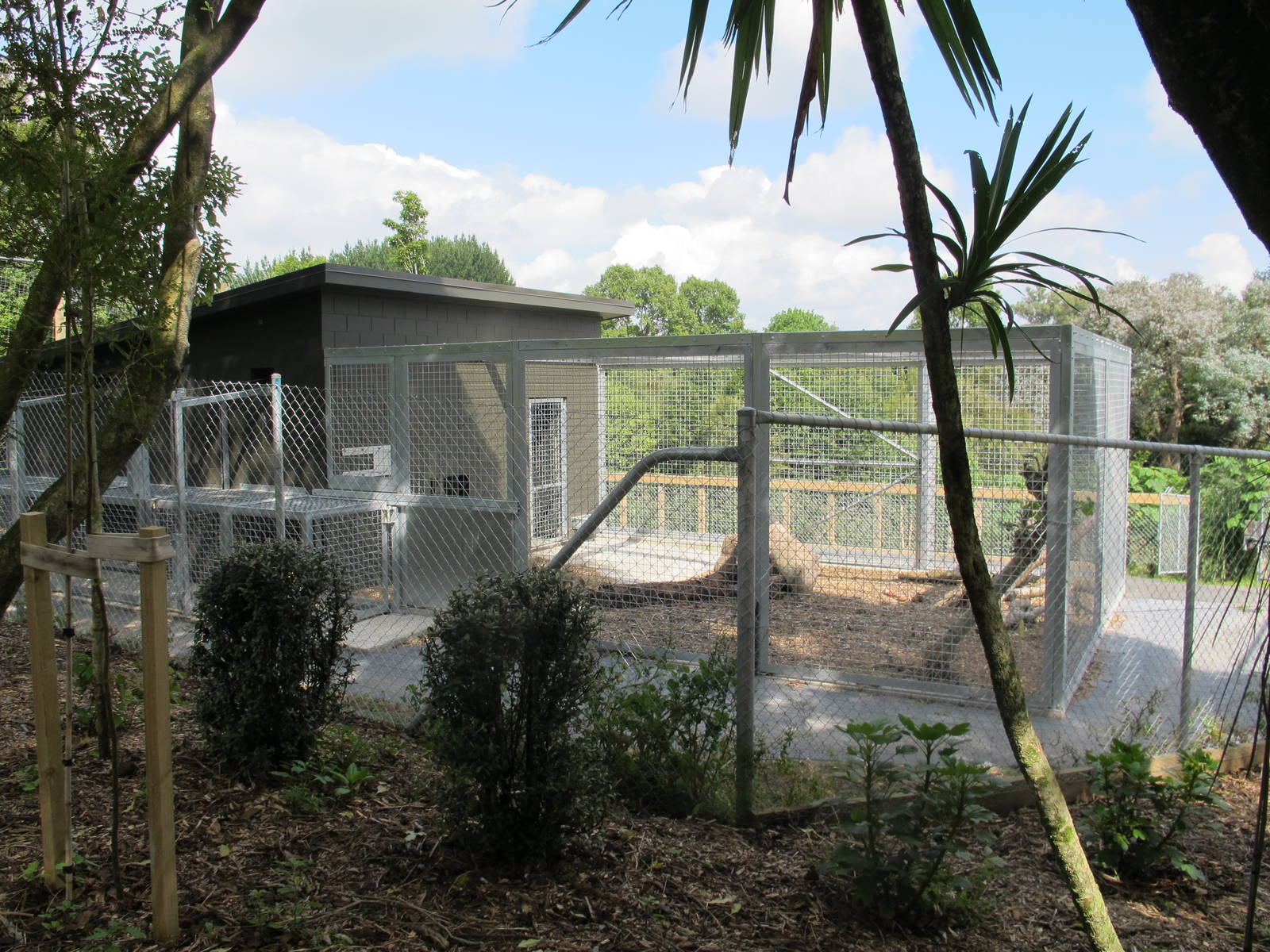 New Tiger Housing - Hamilton Zoo 2012