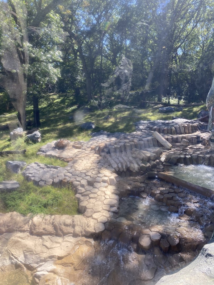 New tiger lair- new paw shaped waterfall