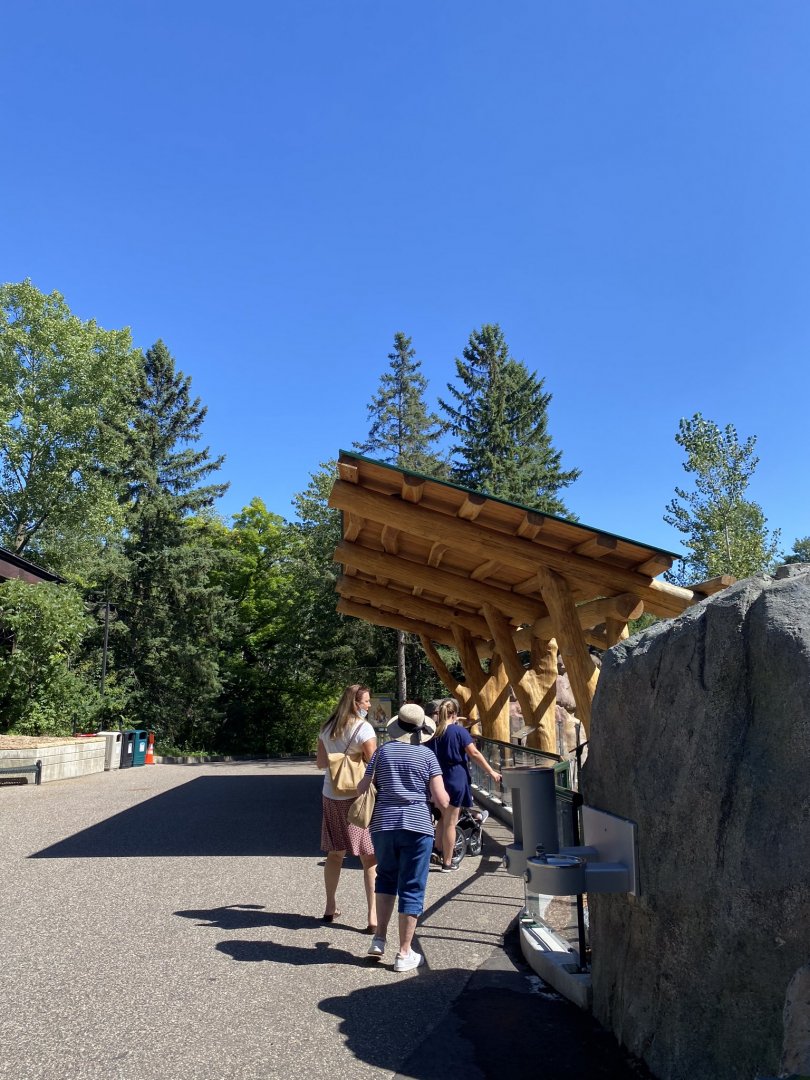 New tiger lair- new viewing shelter
