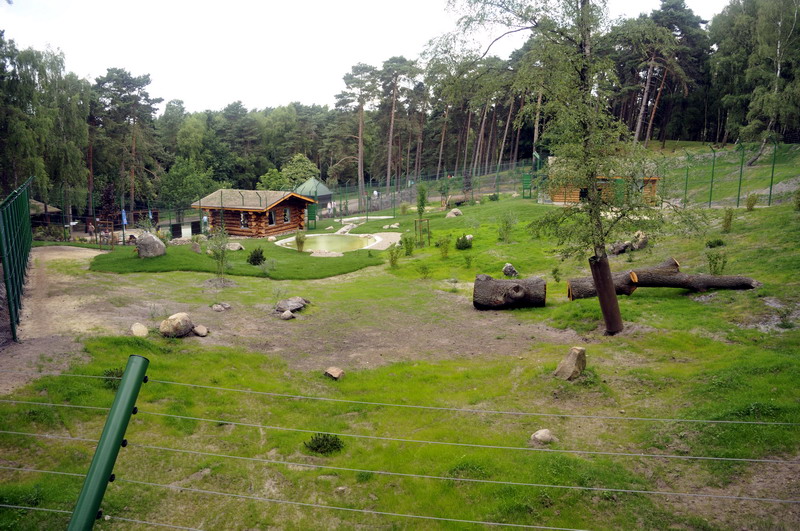 New Tigerexhibit at Lüneburger Heide.
