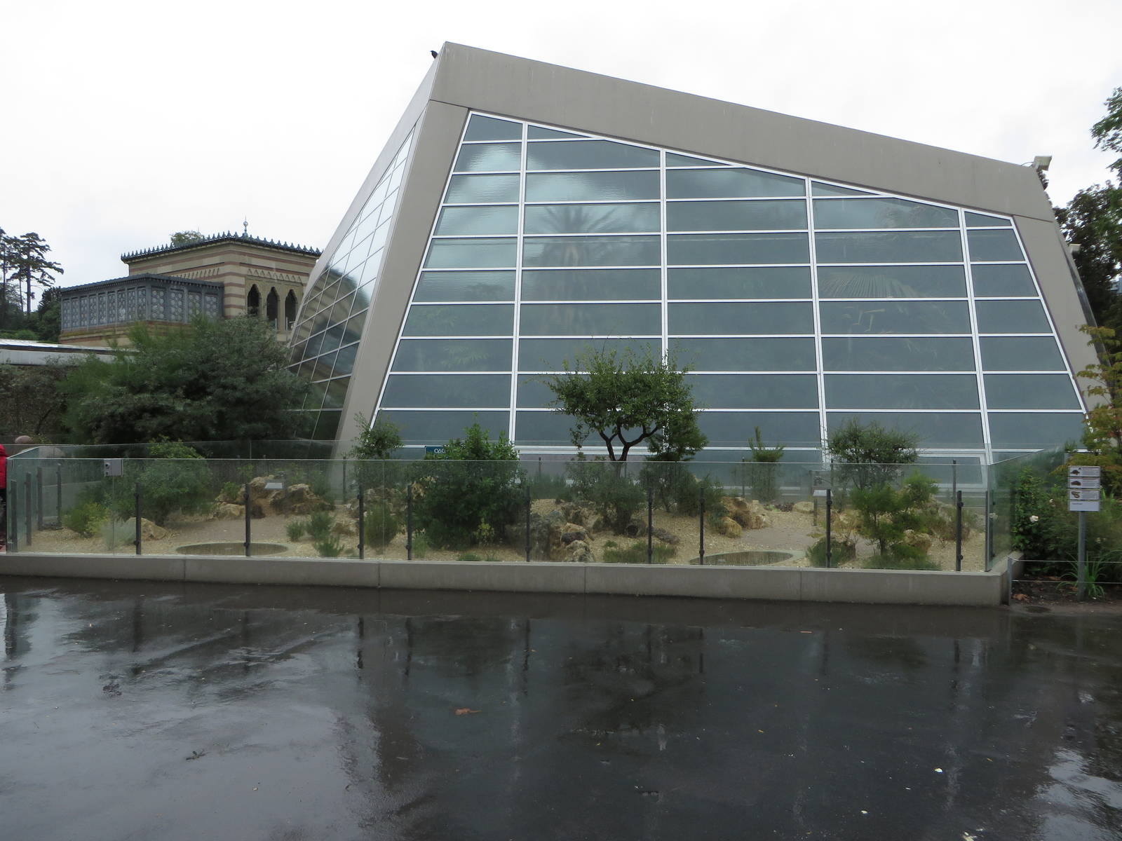 New tortoise enclosure