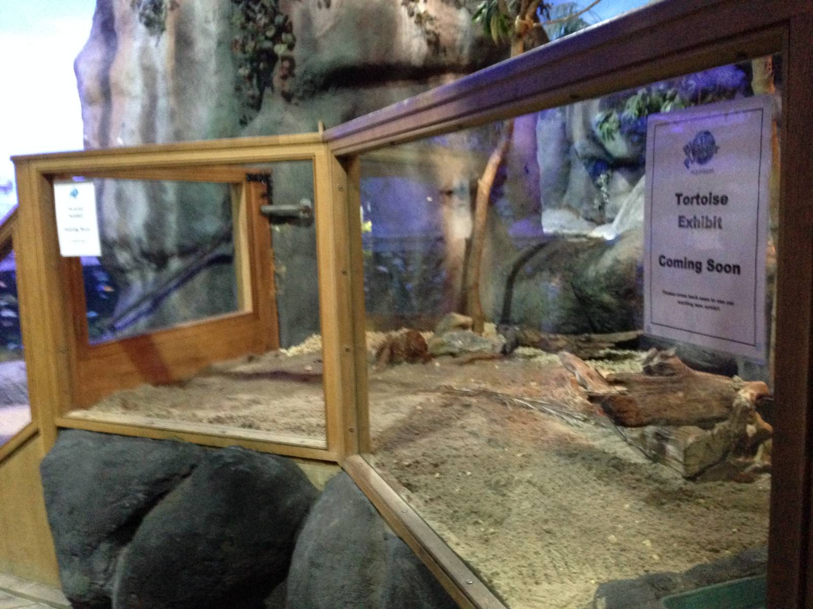 New Tortoise Exhibit at Blue Planet Aquarium - 05/10/2013