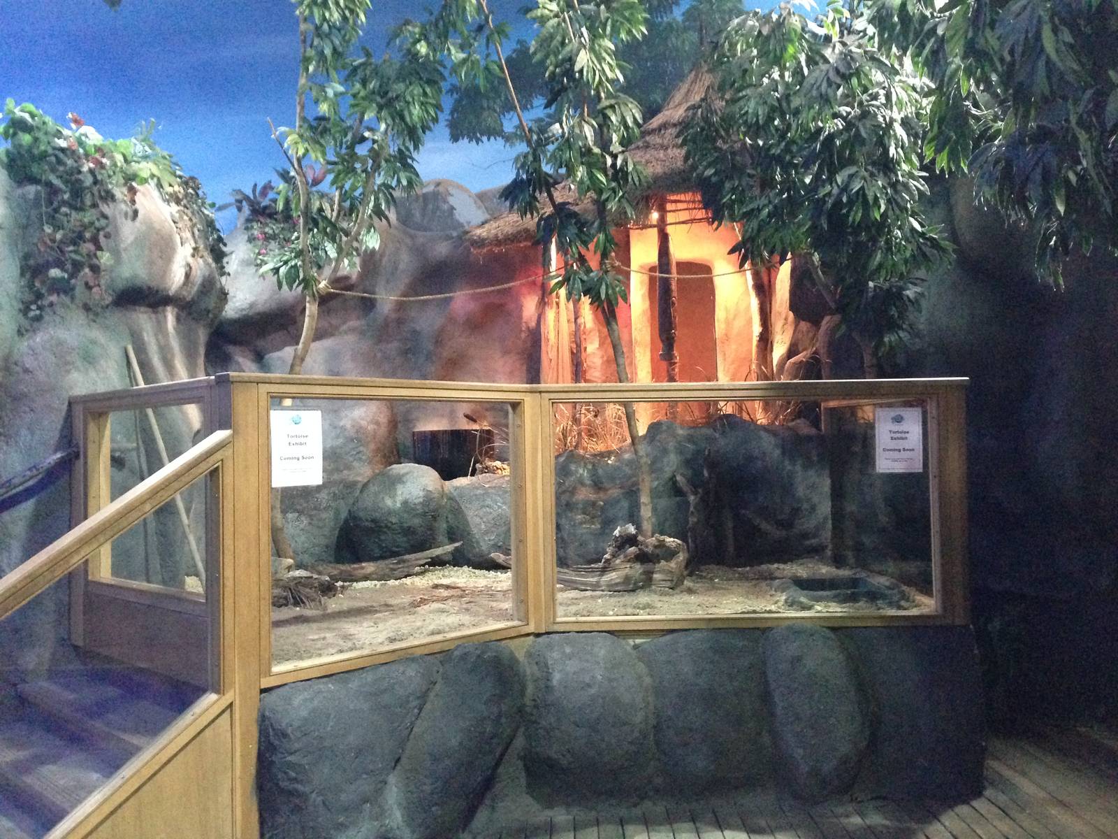New Tortoise Exhibit at Blue Planet Aquarium - 05/10/2013