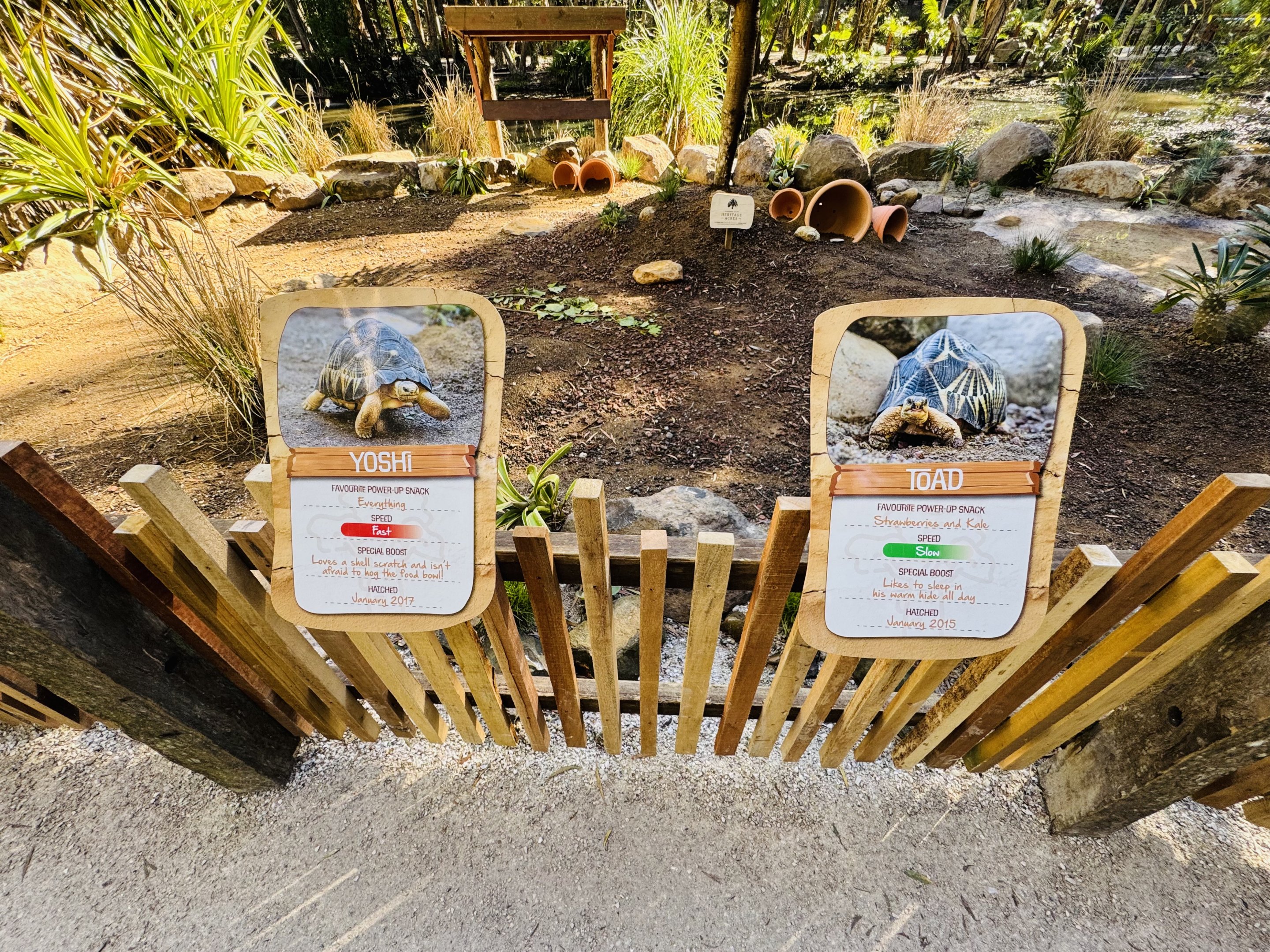 New - Tortoise Village - individual signage