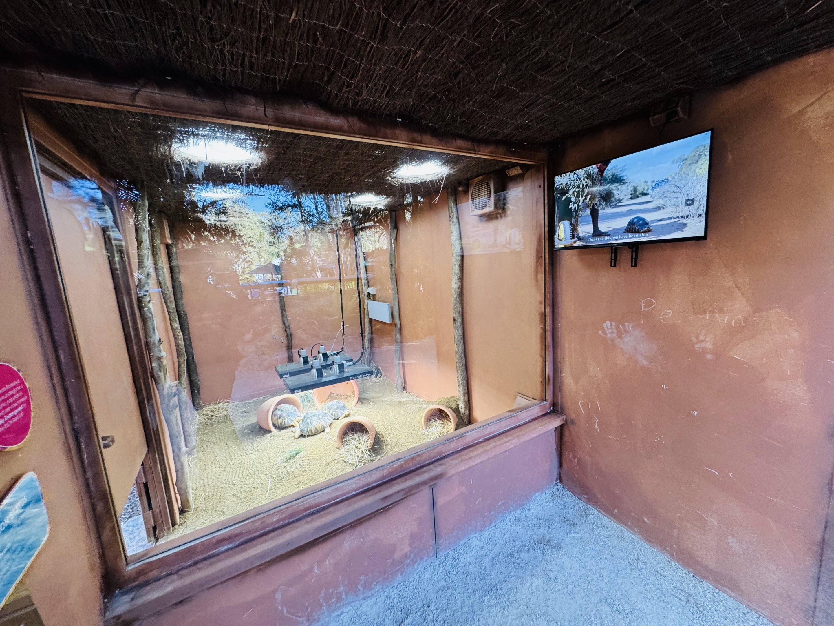 New - Tortoise Village - indoor shelter