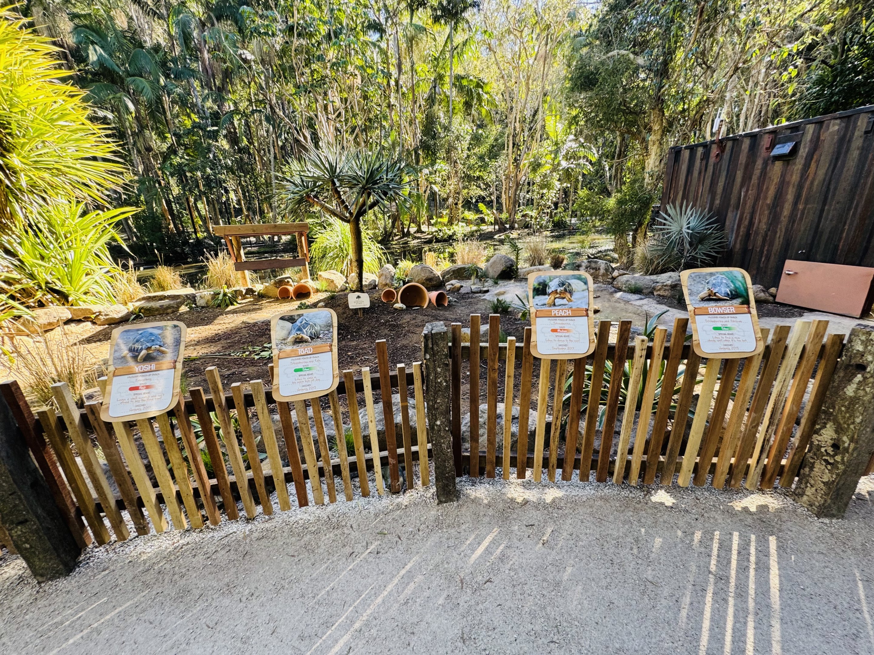 New - Tortoise Village - outdoor yard