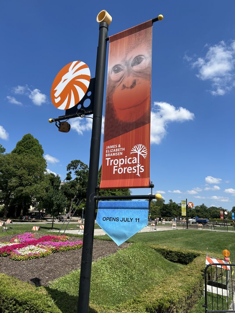 New Tropical Forests banner