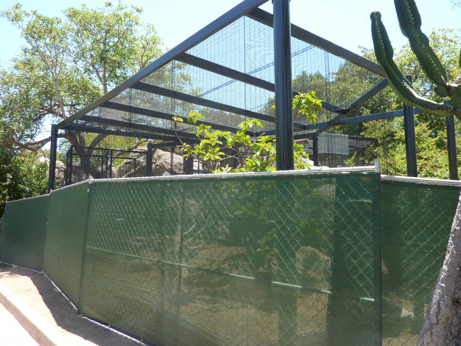 New Trumpeter Hornbill Exhibit in Africa Rocks