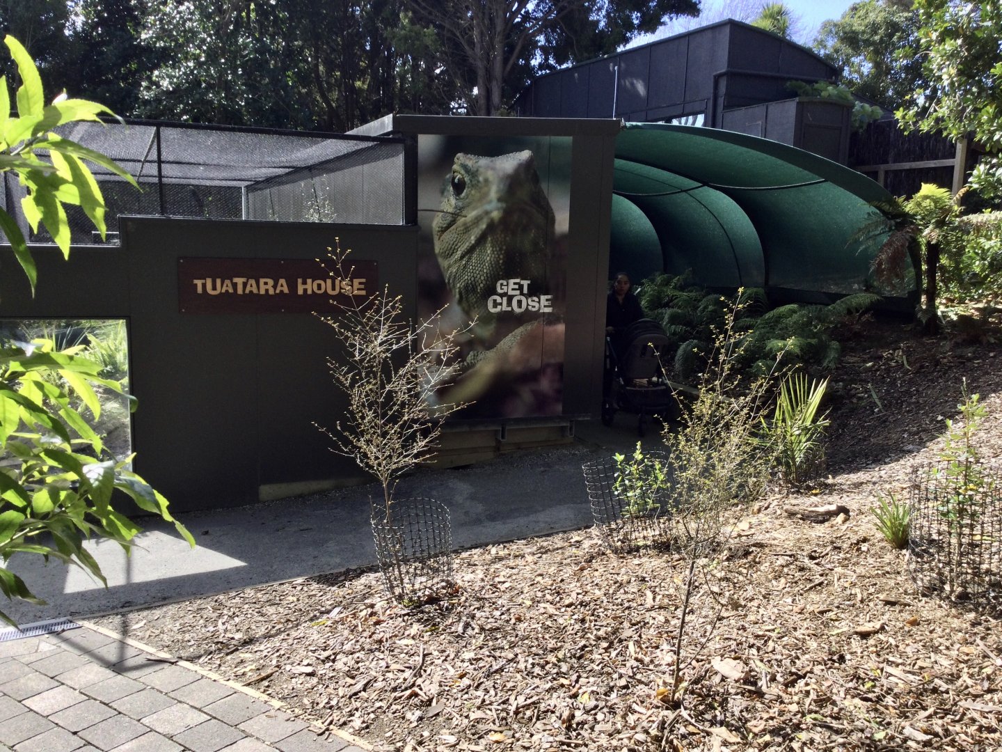 New Tuatara House
