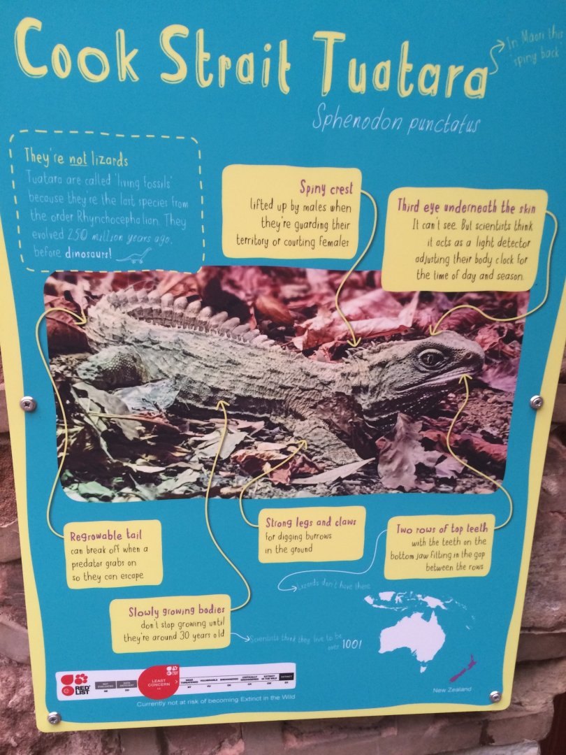 New Tuatara signage